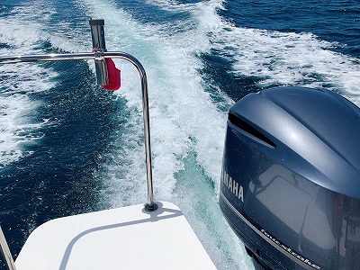 フィシングボートAir(エアー) 釣果