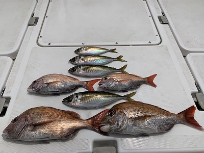 フィシングボートAir(エアー) 釣果