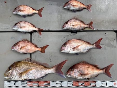 海人丸(うみんちゅまる) 釣果