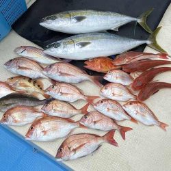 三吉丸 釣果