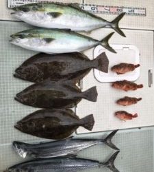 さぶろう丸 釣果
