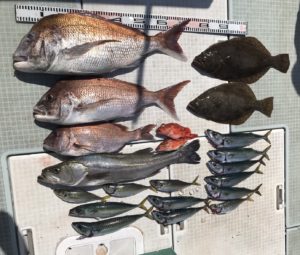 さぶろう丸 釣果