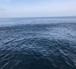 さぶろう丸 釣果