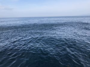 さぶろう丸 釣果