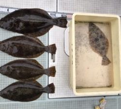 さぶろう丸 釣果