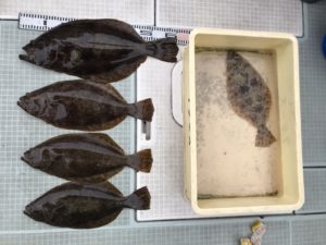 さぶろう丸 釣果