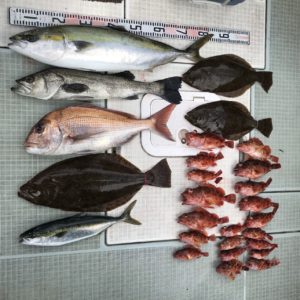 さぶろう丸 釣果