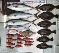 さぶろう丸 釣果
