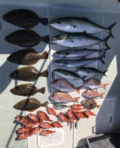 さぶろう丸 釣果