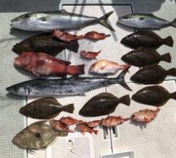 さぶろう丸 釣果