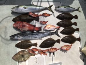 さぶろう丸 釣果