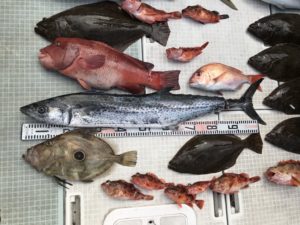 さぶろう丸 釣果