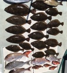 さぶろう丸 釣果