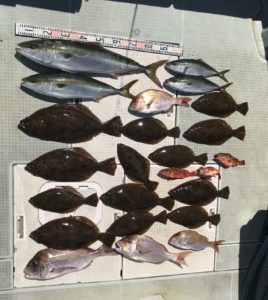 さぶろう丸 釣果