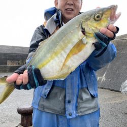 松栄丸 釣果
