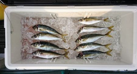 火遠理丸(ほおりまる) 釣果