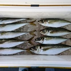 火遠理丸(ほおりまる) 釣果