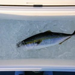 火遠理丸(ほおりまる) 釣果