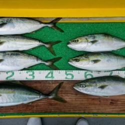 火遠理丸(ほおりまる) 釣果