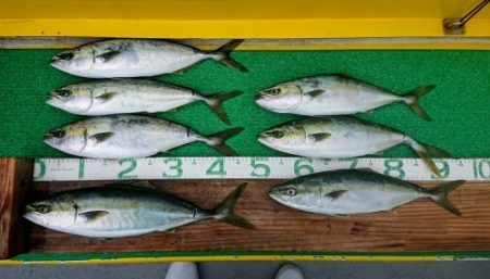 火遠理丸(ほおりまる) 釣果