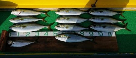 火遠理丸(ほおりまる) 釣果