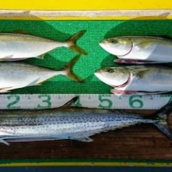 火遠理丸(ほおりまる) 釣果