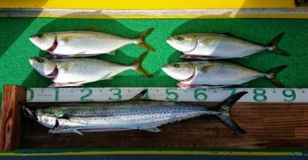 火遠理丸(ほおりまる) 釣果