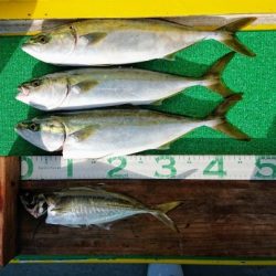 火遠理丸(ほおりまる) 釣果