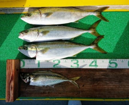 火遠理丸(ほおりまる) 釣果