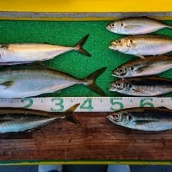 火遠理丸(ほおりまる) 釣果