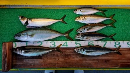 火遠理丸(ほおりまる) 釣果