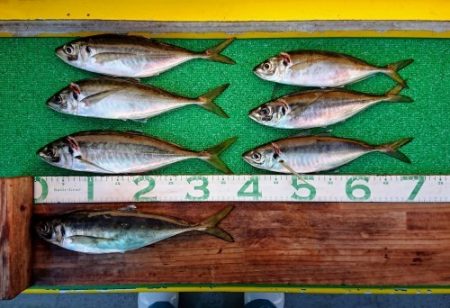 火遠理丸(ほおりまる) 釣果