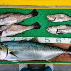 火遠理丸(ほおりまる) 釣果