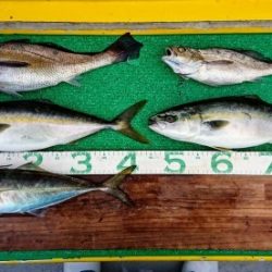 火遠理丸(ほおりまる) 釣果