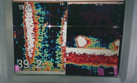 火遠理丸(ほおりまる) 釣果