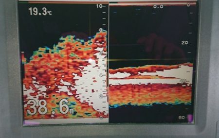 火遠理丸(ほおりまる) 釣果