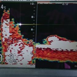 火遠理丸(ほおりまる) 釣果