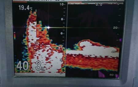 火遠理丸(ほおりまる) 釣果