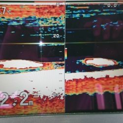 火遠理丸(ほおりまる) 釣果
