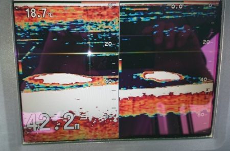 火遠理丸(ほおりまる) 釣果