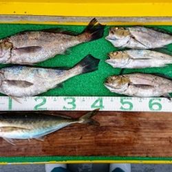 火遠理丸(ほおりまる) 釣果