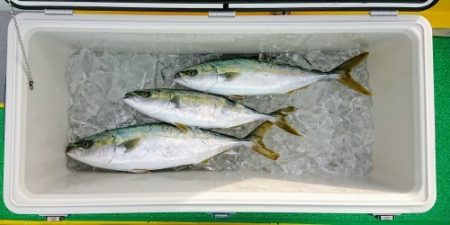 火遠理丸（ほおりまる） 釣果