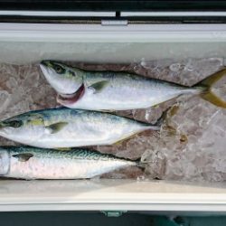 火遠理丸(ほおりまる) 釣果