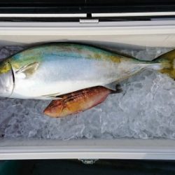 火遠理丸(ほおりまる) 釣果