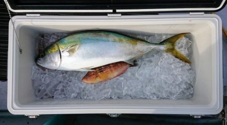 火遠理丸(ほおりまる) 釣果