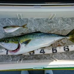 火遠理丸(ほおりまる) 釣果