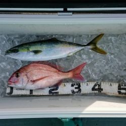 火遠理丸(ほおりまる) 釣果