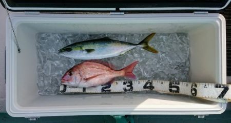 火遠理丸(ほおりまる) 釣果