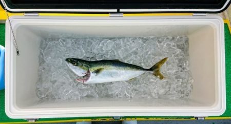 火遠理丸(ほおりまる) 釣果