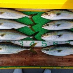 火遠理丸(ほおりまる) 釣果